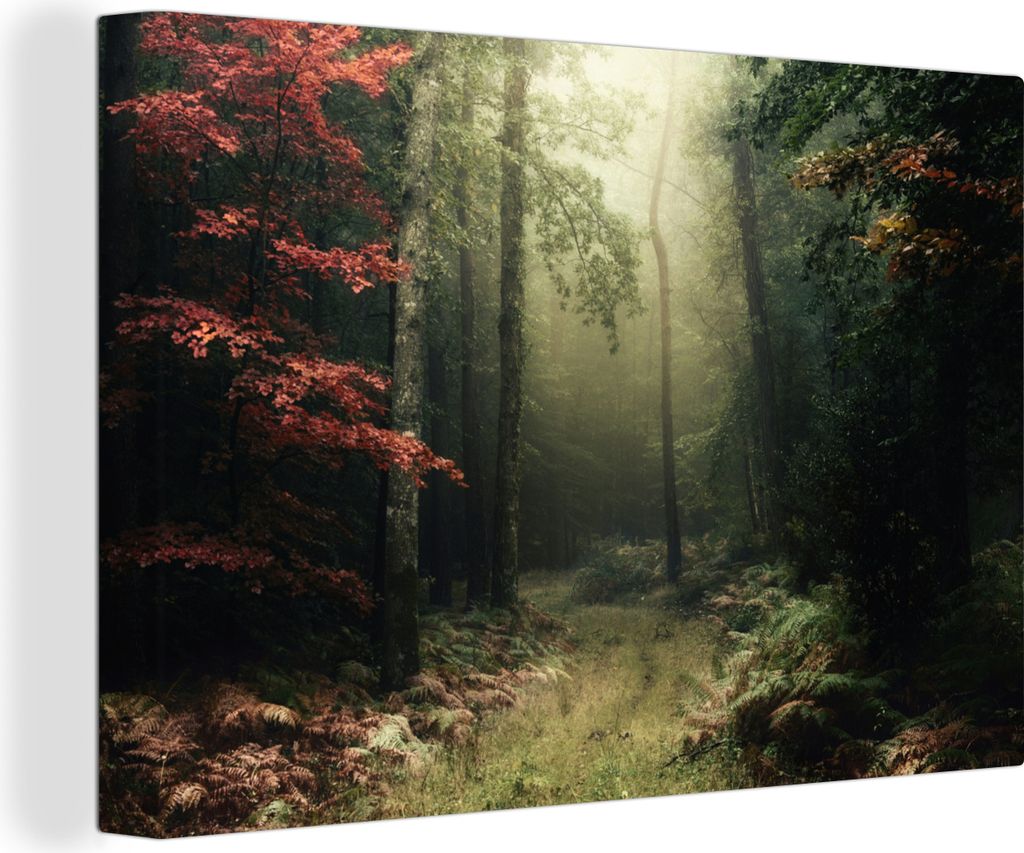 OneMillionCanvasses - Leinwandbilder - 140x90 cm, Dunkelheit - Wald - Bäume, Wandbilder Kunstdruck Wanddekoration - Foto auf Leinwand - Gemälde...