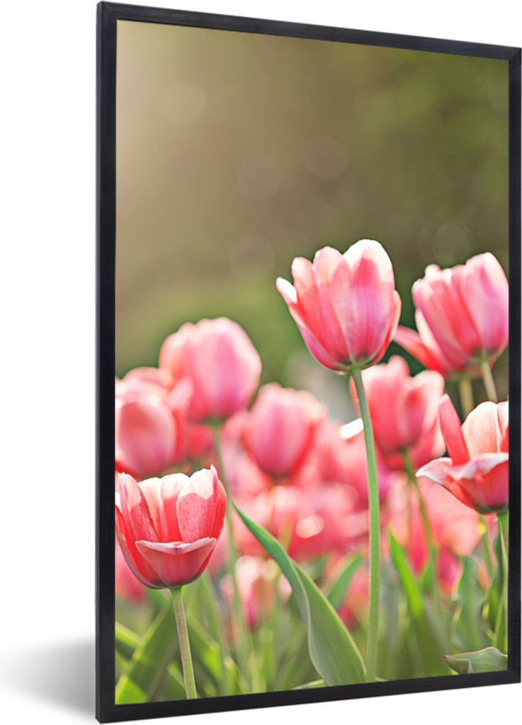 MuchoWow Gerahmtes Poster Tulpen - Sonne - Frühling 20x30 cm - Poster mit Schwarzem Bilderrahmen Wandposter Rahmen Foto Bilder - Drucken - Bilde...