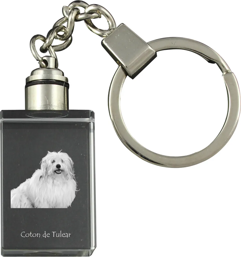 Coton de Tulear Portachiavi Cristallo LED - Regalo Art-Dog Unico