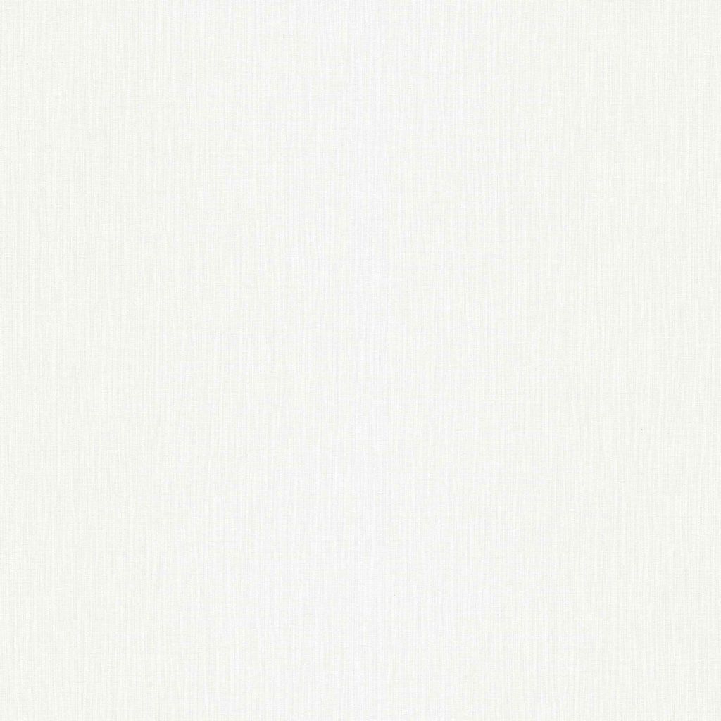 A plain white textured background.