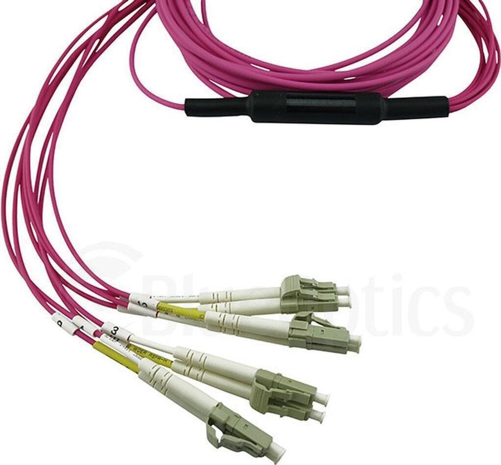 BlueOptics SFP5141FU3MKB, 3 m, OM4, MPO, 4x LC