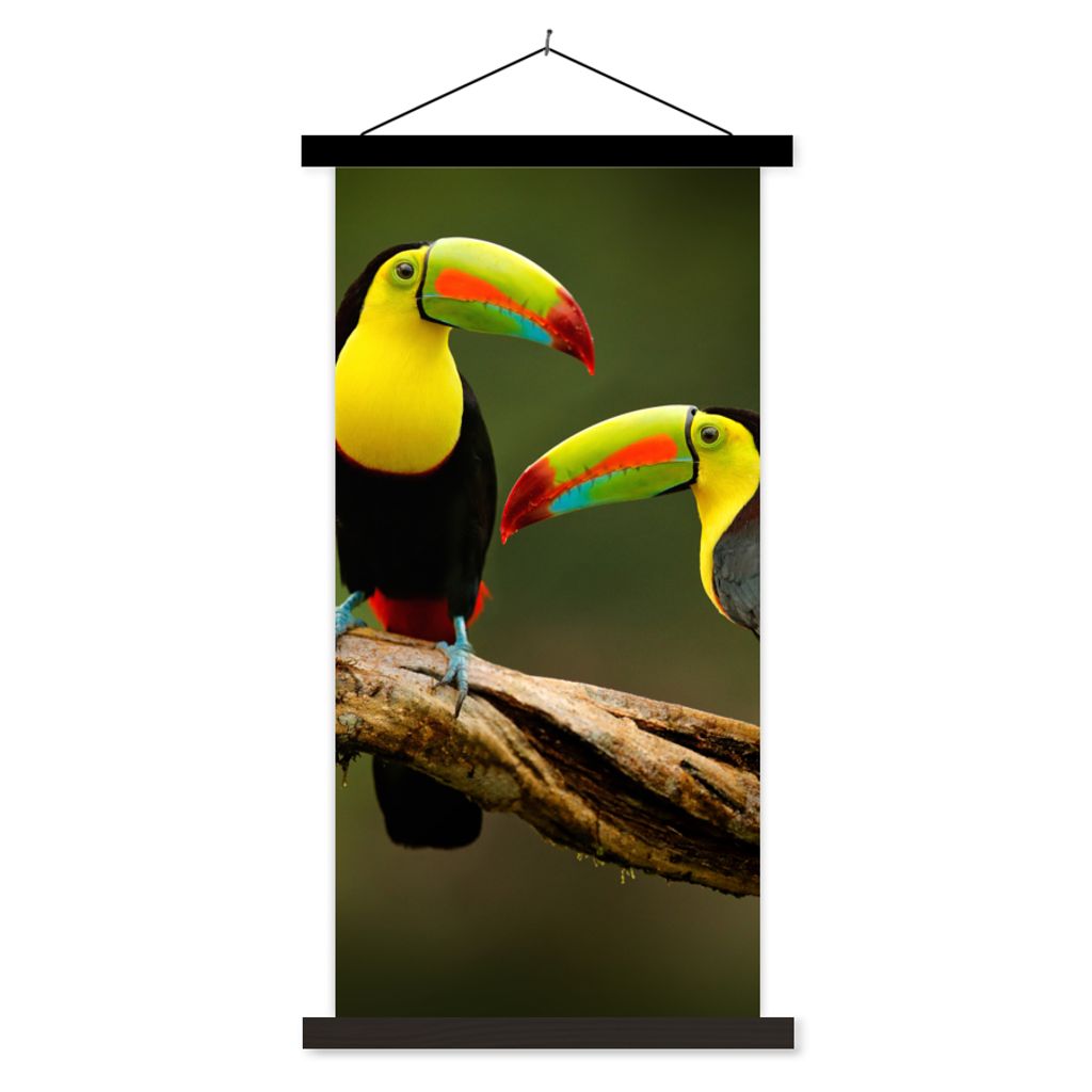 MuchoWow Textilposter Vögel - Tukan - Zweig - Tiere - Regenbogen 60x120 cm mit schwarzem Rahmen - Magnete