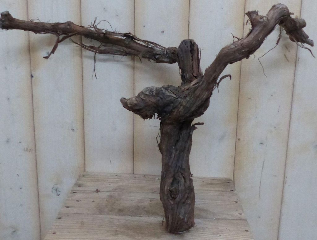 Warentuin Producten