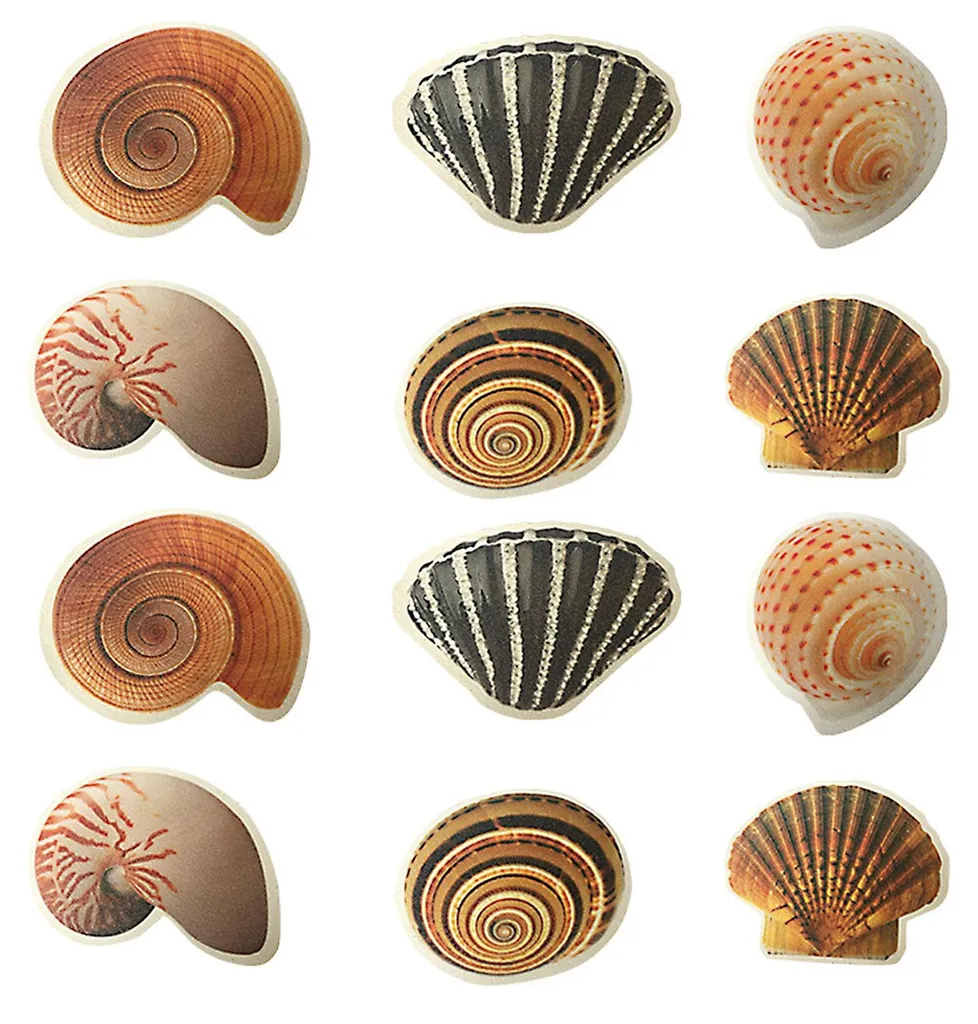Anti-glisse baignoire : fini les chutes avec ces 12 stickers coquillage