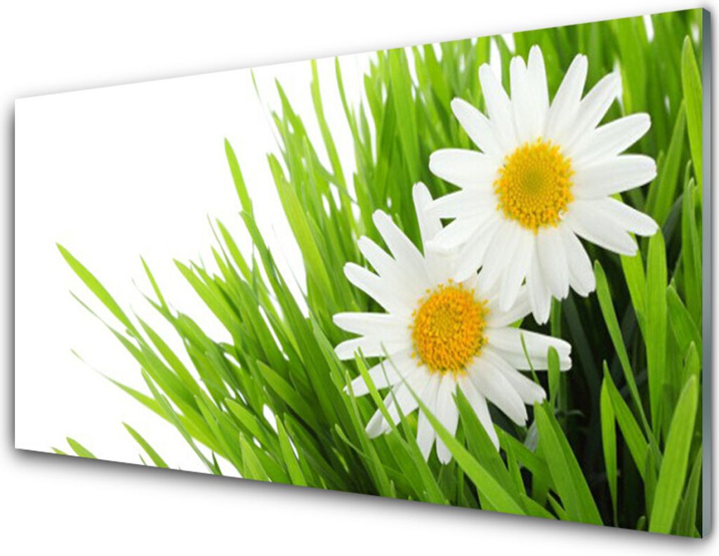 Küchenrückwand aus Glas 100x50cm Spritzschutz Gras Gänseblümchen Pflanzen