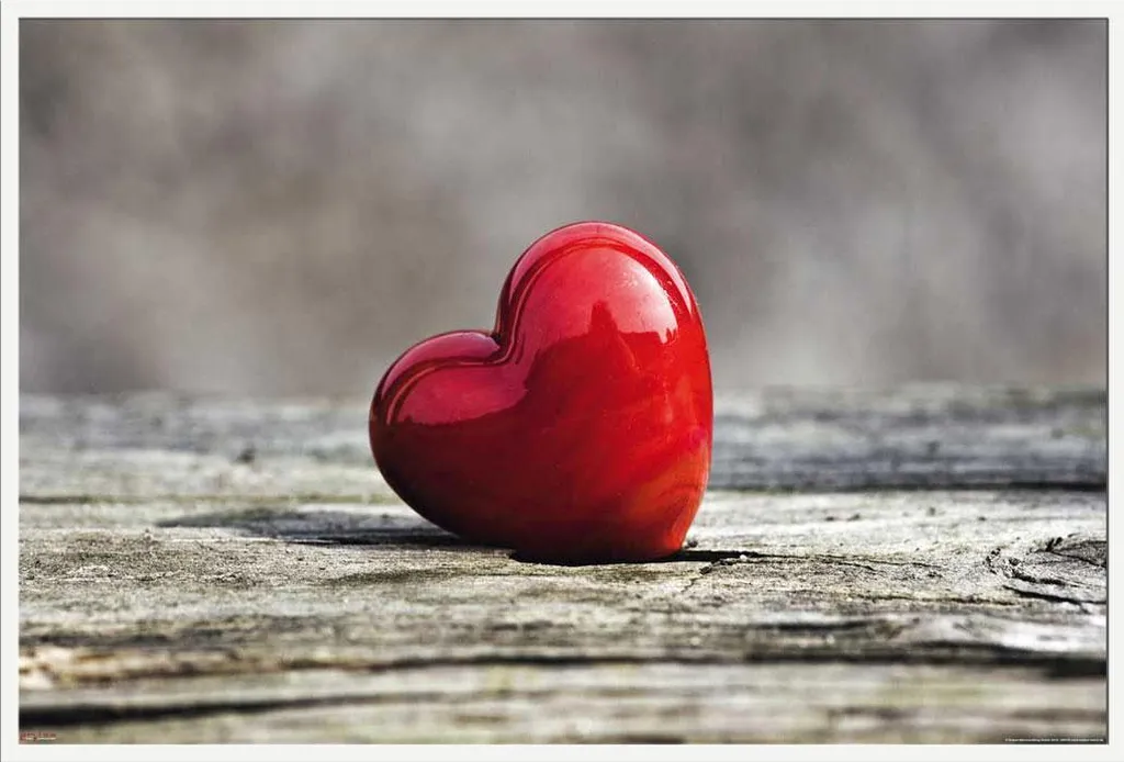 Décoration Murale Salon Heart on Wood Cadre Blanc Shinsuke Maxi 61x91