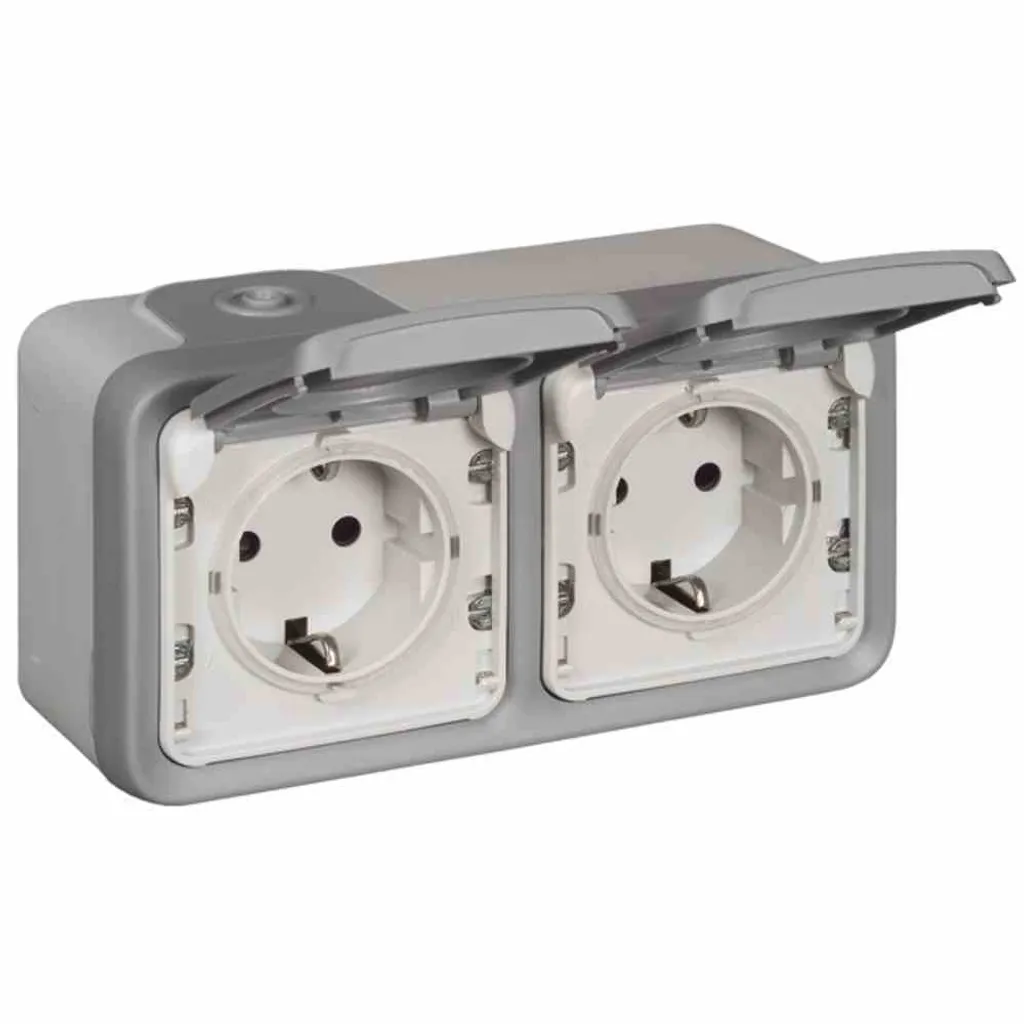Legrand 069742 Plexo Prise IP55 grise complète avec bornes automatiques