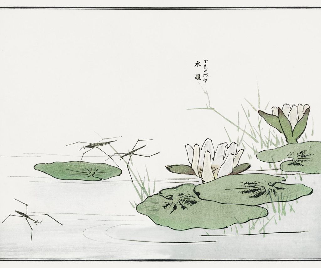 Plakat 60x50cm Nartniki im Morimoto-Teich Japanisches Vintage für das Wohnzimmer