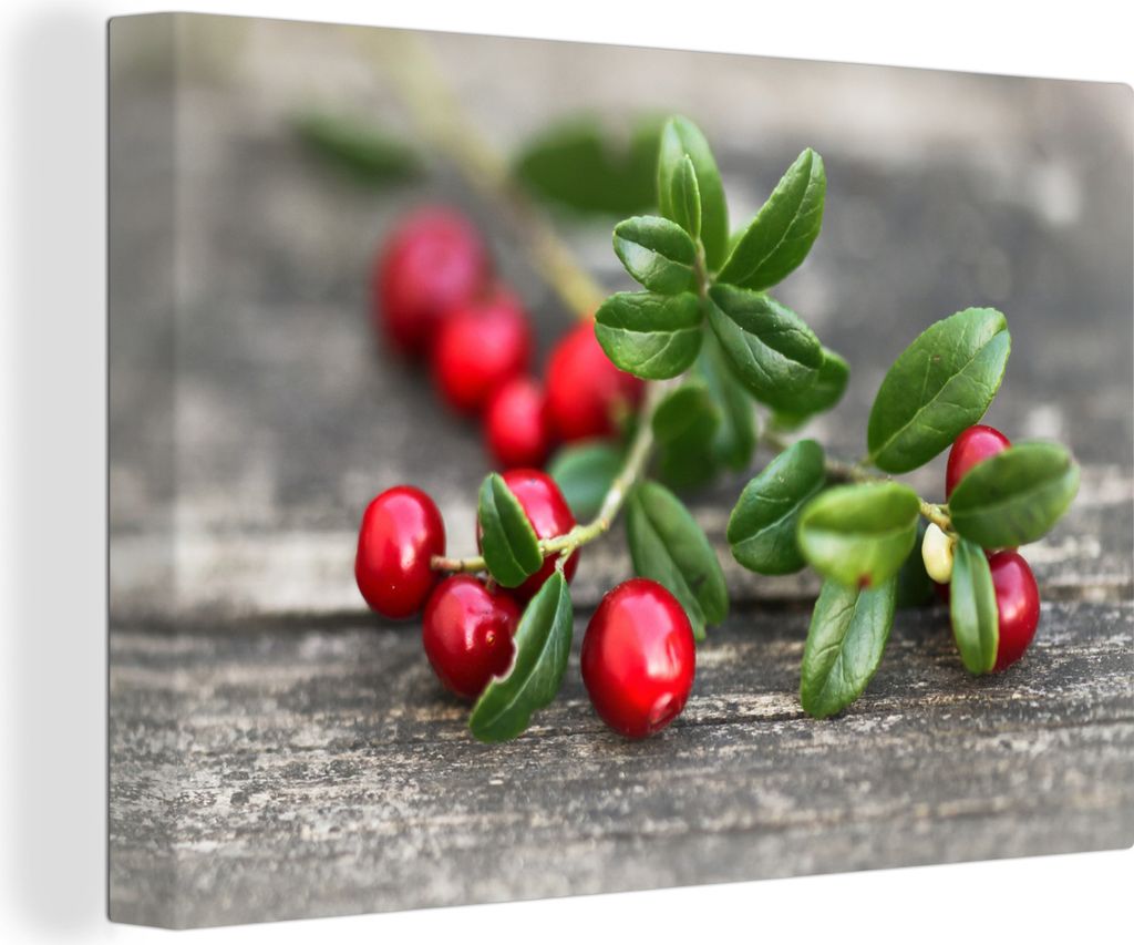 OneMillionCanvasses - Leinwandbilder - 140x90 cm, Preiselbeeren auf einem Zweig auf einem Holztisch, Wandbilder Kunstdruck Wanddekoration - Foto ...