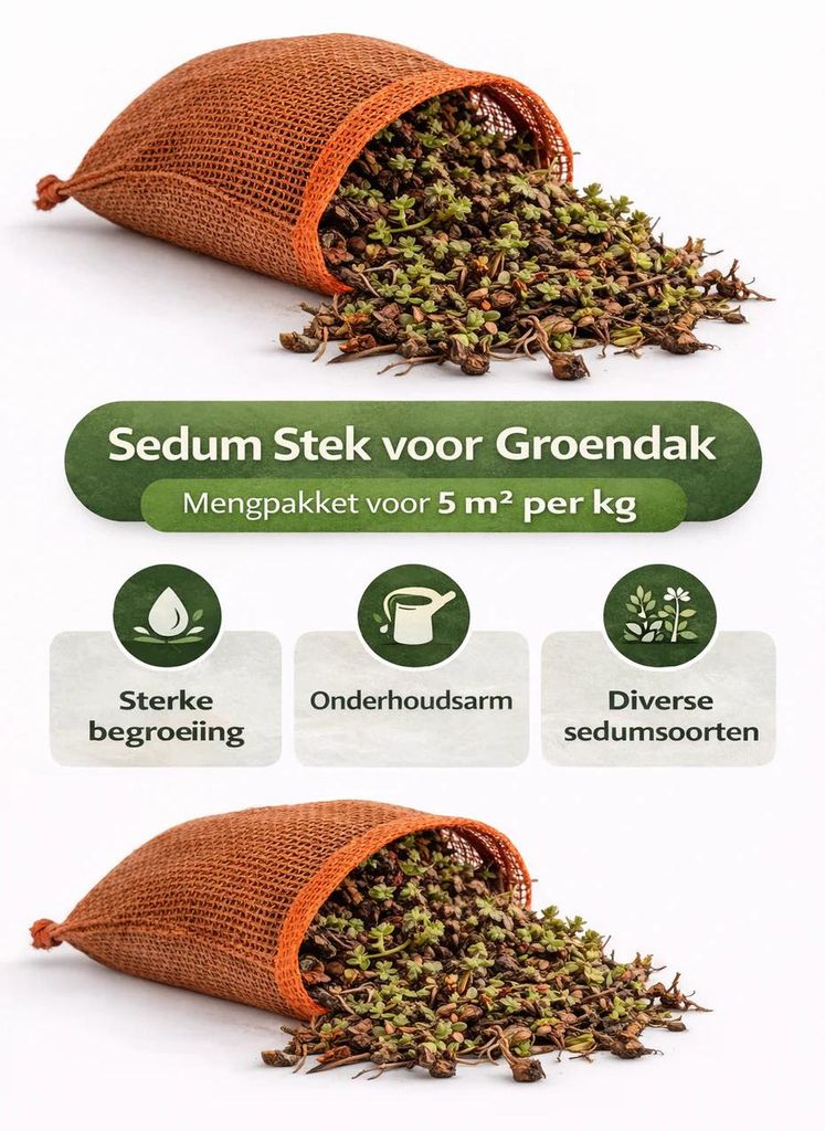 Sedum Stek voor Groendak 2 Kilogram – Mengpakket Sedum Stekken voor Dakbegroeiing / 2 KG