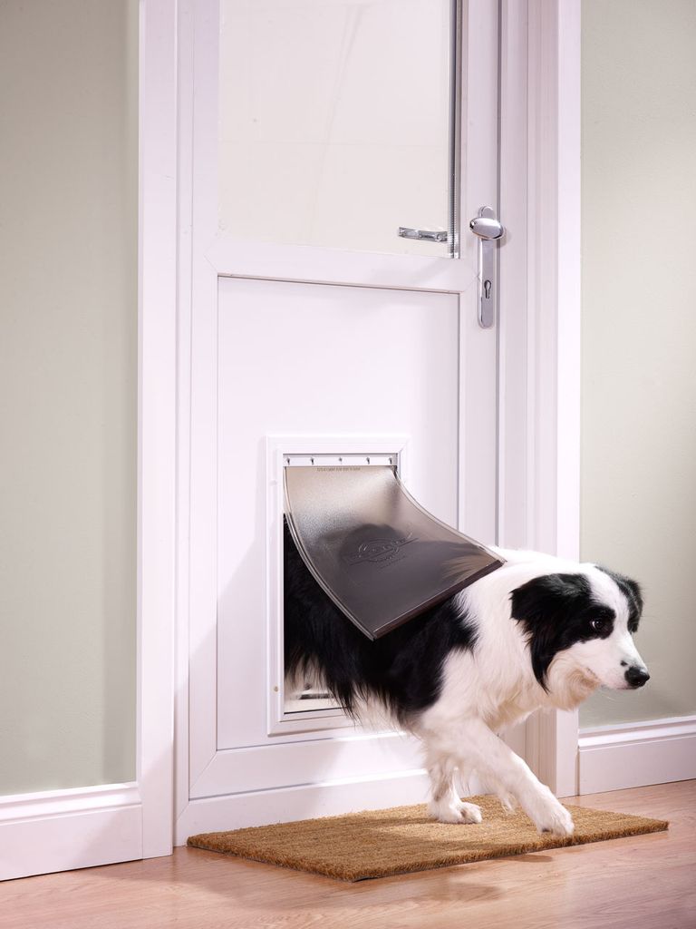 A black and white dog is walking through a pet door installed in a white door.