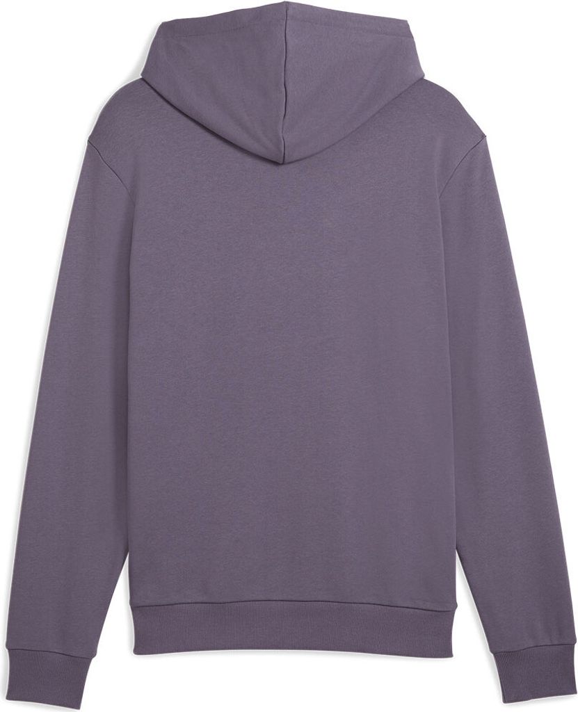 Puma Neymar Creativity Kapuzenpullover Lila XL Mann Lila XL