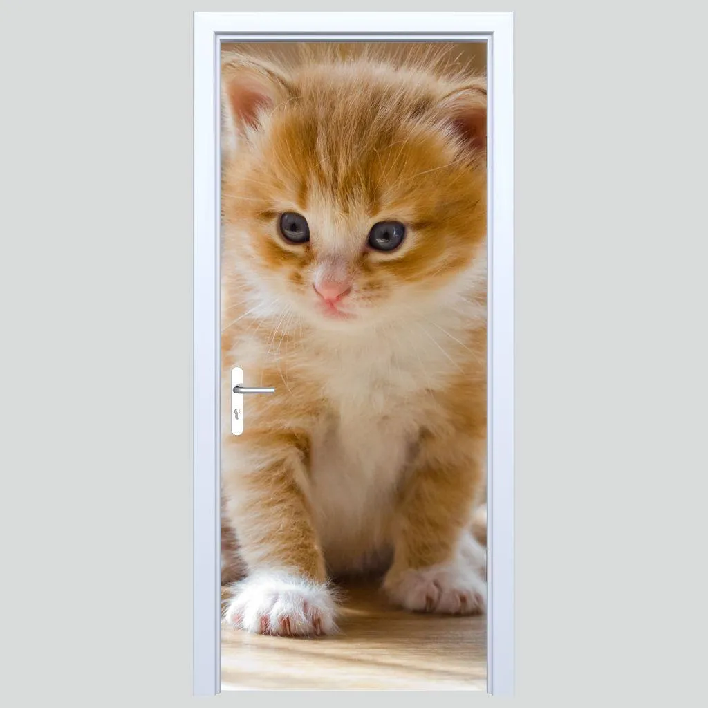 Adesivo Porta 183PD Gattino Tessuto | Home Decor Trend 2024