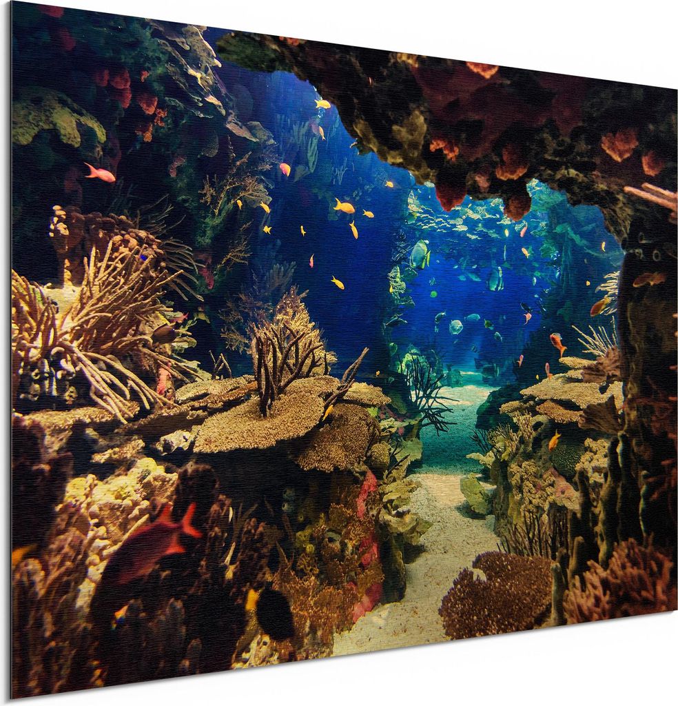DEQORI Alu-Dibond Bild Gold 60x40 cm 'Exotisches Aquarium' Wandbild Metall dünn Design