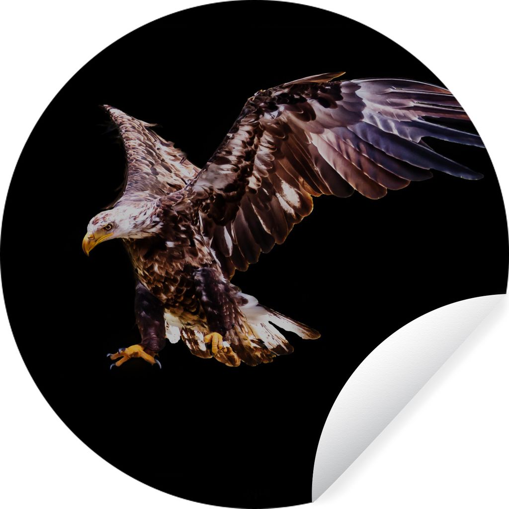 MuchoWow Runde Wandtattoo - Wandsticker Tapete Aufkleber Adler - Vogel - Federn Ø 80 cm Selbstklebend und Repositionierbar - Wandaufkleber - Kre...