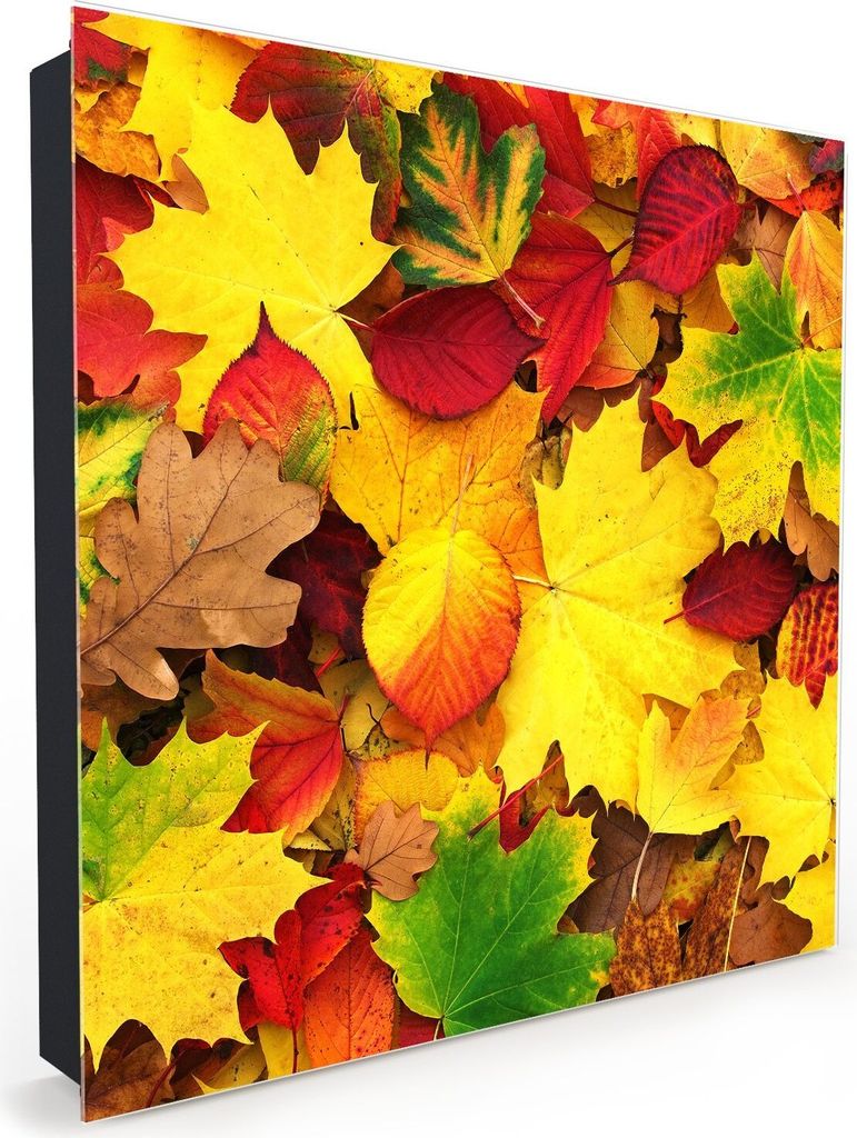 Nachbildung-Schlüsselkasten, Magnetpinnwand und Memoboard mit Glasfront Motiv Herbstblätter