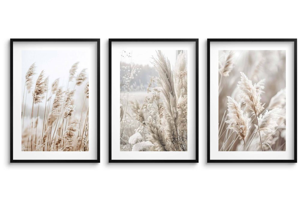 Wandposter fürs Wohnzimmer, Boho Poster Pampasgras 3x Produktbild 