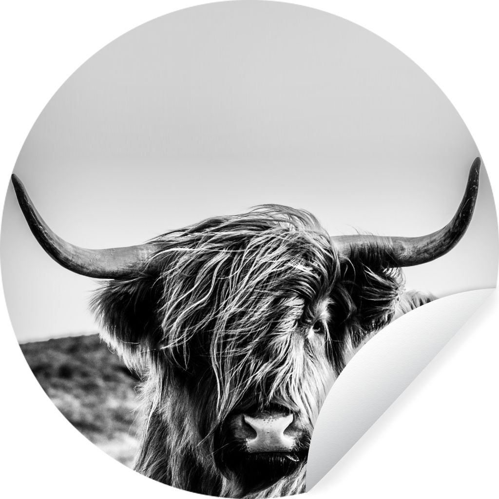 MuchoWow Runde Wandtattoo - Wandsticker Tapete Aufkleber Kuh - Schottischer Hochländer - Schwarz - Weiß - Tier - Natur - Wildtiere Ø 30 cm Sel...