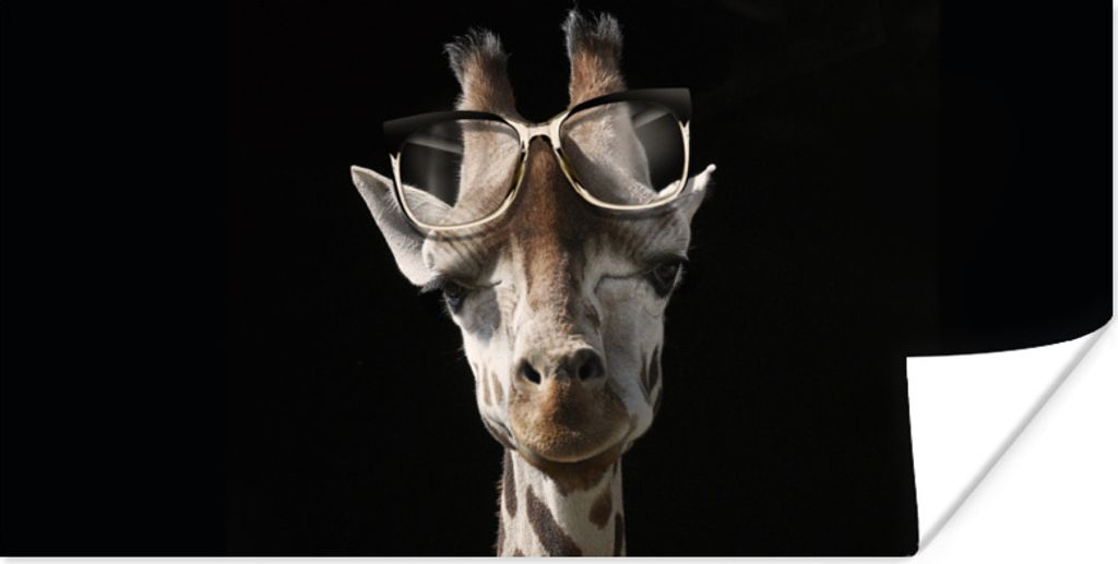 MuchoWow Poster Giraffe - Brille - Schwarz 80x40 cm