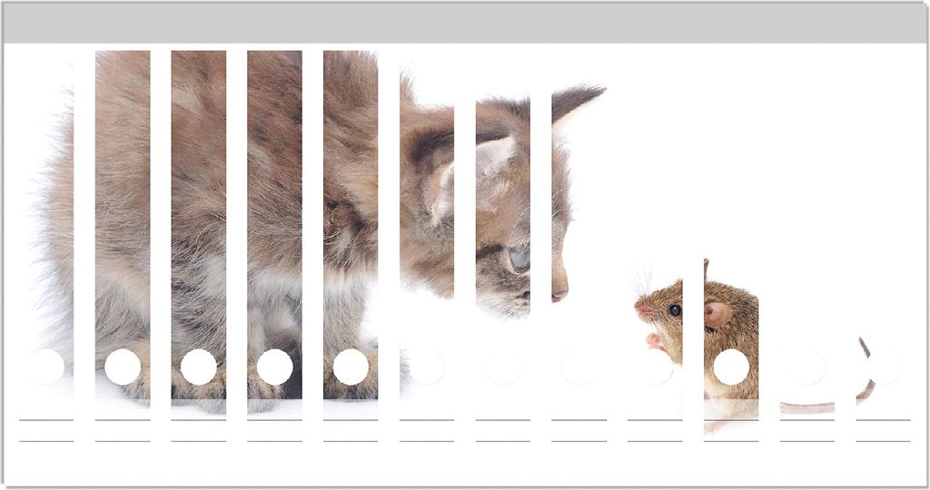 Wallario Ordnerrücken Sticker, selbstklebend für schmale Ordner, 12 Stück, Motiv Katze und Maus beim Spielen - weißer Hintergrund