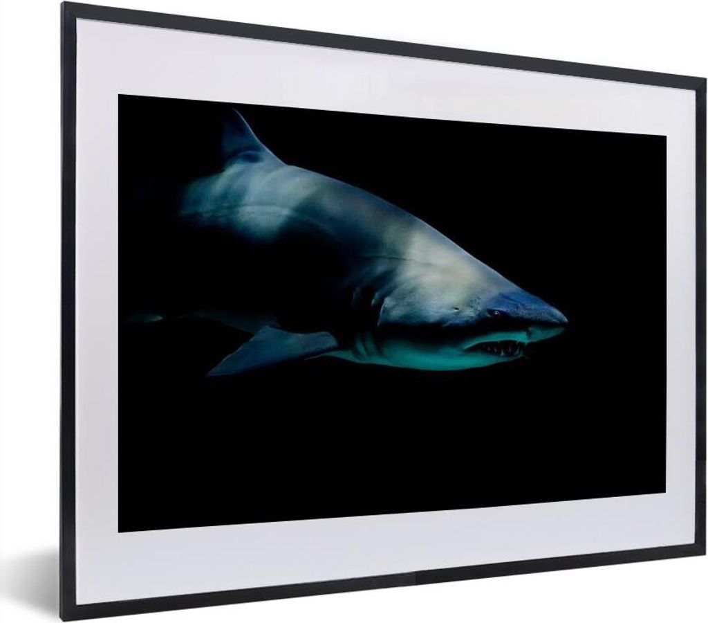 MuchoWow MuchoWow Gerahmtes Poster Hai - Makro - Wasser 40x30 cm - Poster mit zchwarzem Bilderrahmen - Bilderrahmen - Poster im Rahmen