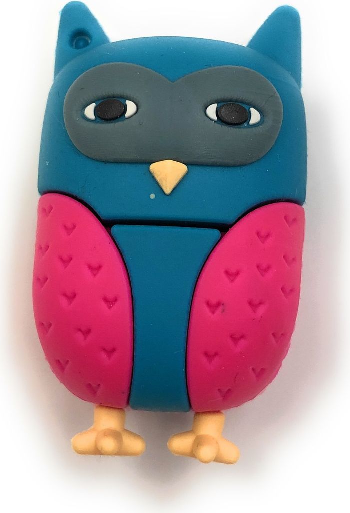 Onlineworld2013 Blau Pinke Eule Vogel niedlich Funny USB Stick 64 GB USB 3.0