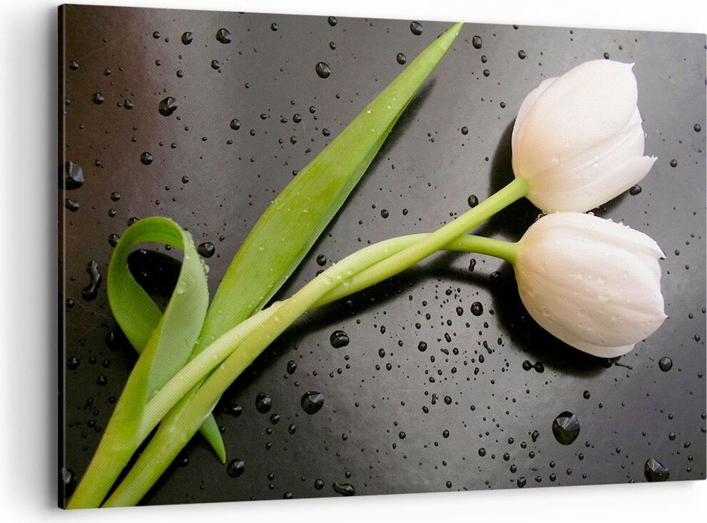 Bild auf Leinwand - Leinwandbild - Tulpen Blume Pflanzung Pflanze - 120x80cm - Wand Bild - Wanddeko - Leinwanddruck - Bilder - Kunstdruck - Wanddek...