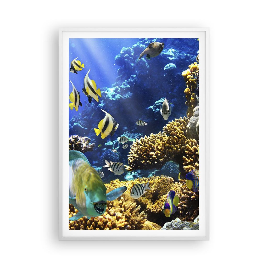 Gerahmtes Poster - Weißer Rahmen - Korallenriff Ozean Krabbe Fisch - 70x100 cm - Wand Bild - Wanddeko - Wandbilder - Wandposter - Bilderrahmen - B...