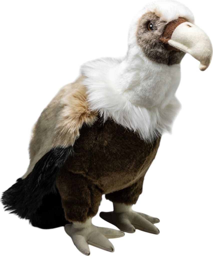 Carl Dick Vautour env. 27cm Peluche, animal en peluche, Image du produit 
