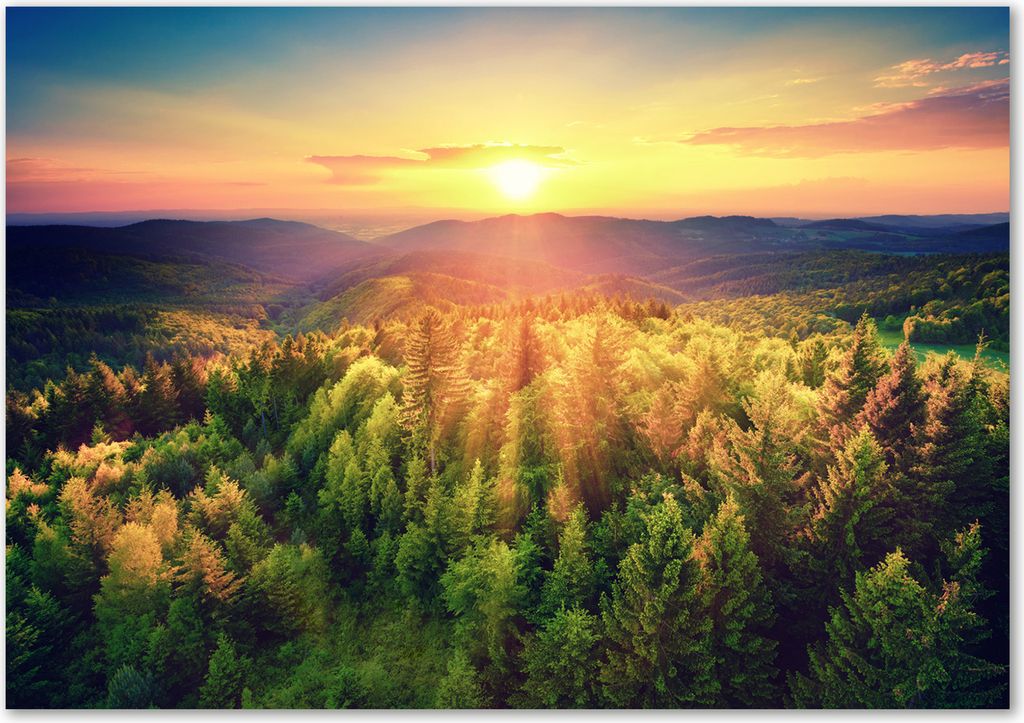 Tulup Leinwandbild - 100x70 cm - Wandkunst - Drucke auf Leinwand - Leinwanddruck - Landschaften - Gelb - Wald Sonnenuntergang