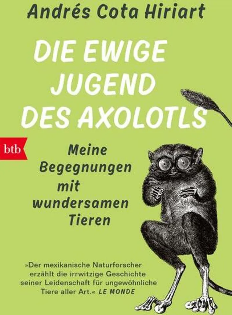 Guide L'éternelle jeunesse de l'axolotl pour réussir son aquarium zen