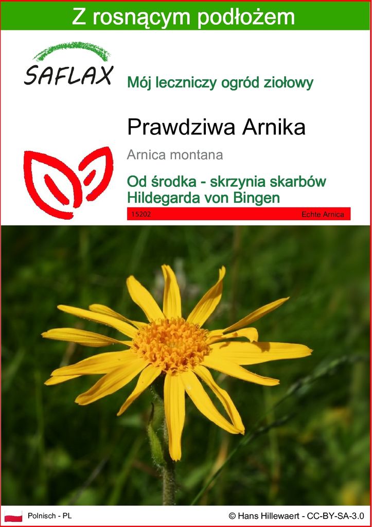 SAFLAX - Prawdziwa Arnika - 40 Nasiona - Z podłożem Zdjęcie produktu 