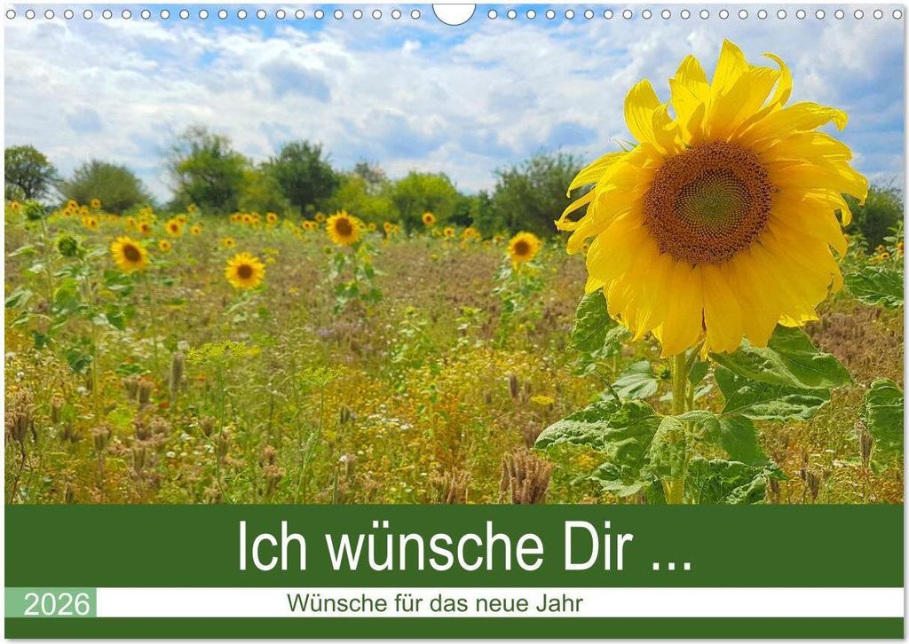 Ich wünsche Dir ... Wünsche für das neue Jahr (Wandkalender 2026 DIN A3 quer), CALVENDO Monatskalender