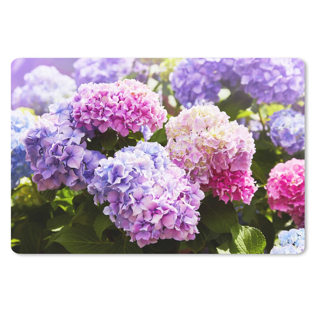 MuchoWow Mauspad Mousepad Blumen - Hortensie - Rosa - Blätter - Sonne 27x18 cm - Mousepads - Maus Mat - Pad - Mausunterlage - Büroartikel - Des...