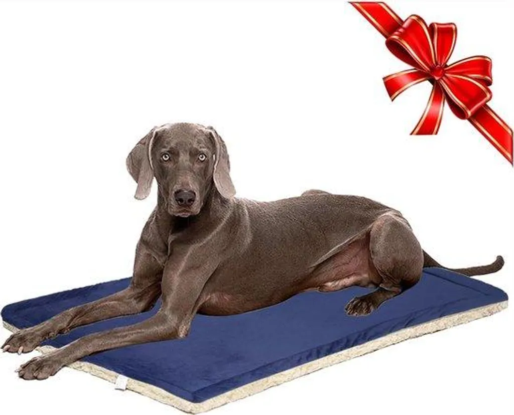 Coussin de voyage pour chien pliable en peluche bleue idéal pour bureau