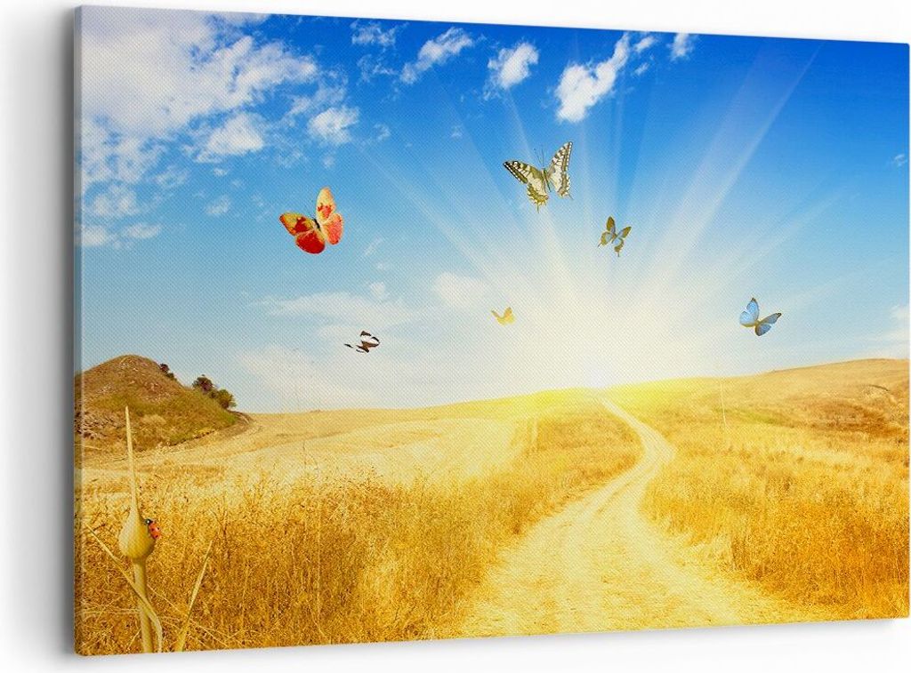 Bild auf Leinwand - Leinwandbild - Schmetterlinge Wiese Gras - 120x80cm - Wand Bild - Wanddeko - Leinwanddruck - Bilder - Kunstdruck - Wanddekorati...