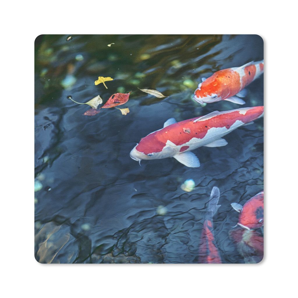 MuchoWow Mauspad Mousepad Vier Koi-Karpfen in einem Teich 20x20 cm - Mousepads - Maus Mat - Pad - Mausunterlage - Desk Mat - Bureauartikeln