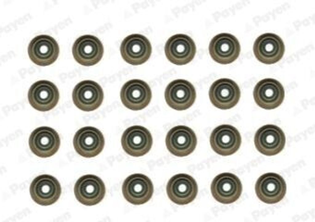 Dichtungssatz, Ventilschaft PAYEN HR5121