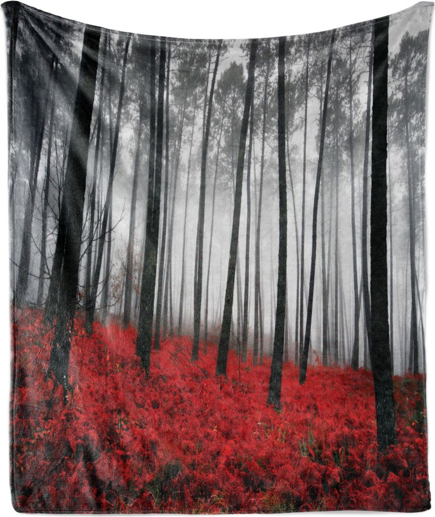 ABAKUHAUS Wald Weich Flanell Fleece Decke, Mystical Fantasy Woodland unter starkem Nebel Hohe Bäume Büsche Kontrastfarben, 175 x 230 cm, Schwarz ...