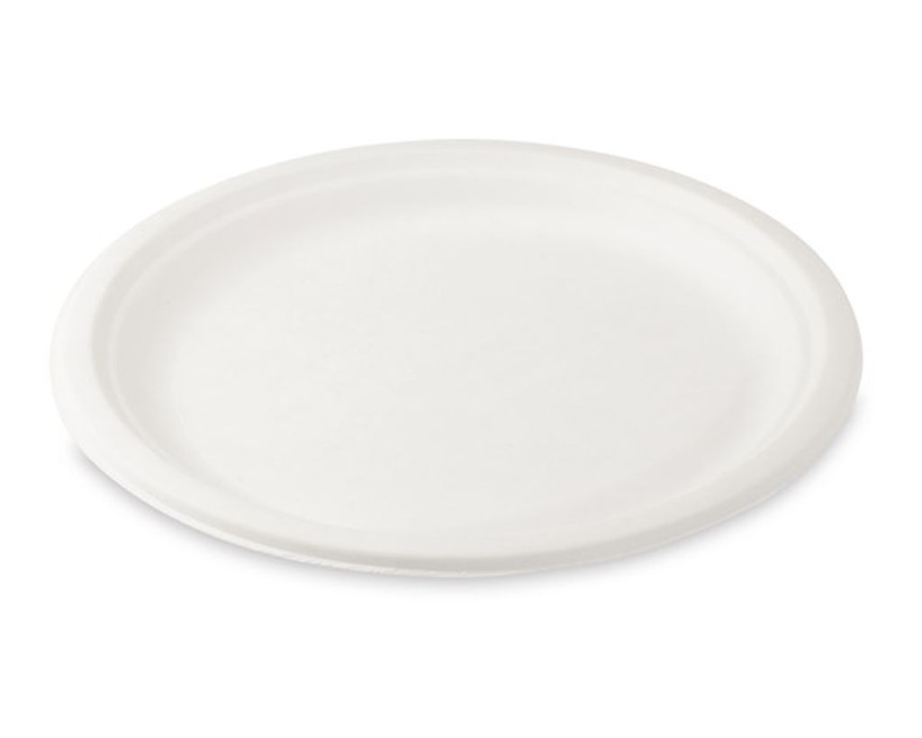 50x Grillteller Fleischteller rund aus Zuckerrohr Bagasse Ø 26 cm