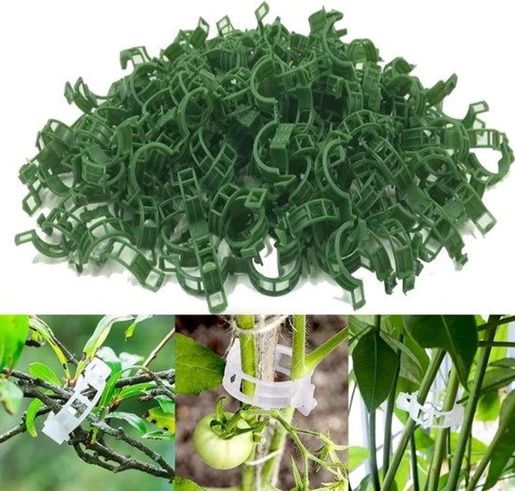 Aider vos plantes grimpantes avec le gypse végétal extérieur - 100 pcs