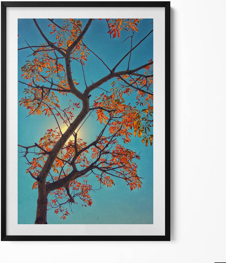 Herbstbaum und Sonne– Wandbild mit Rahmen – Gerahmtes Bild – Wanddekoration – 70x100 cm – Schwarz Rahmen