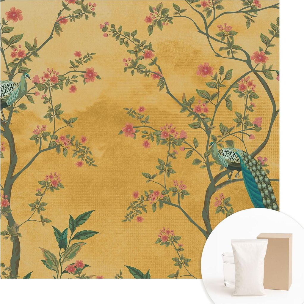 Fototapete - Wandbilder für Wohnzimmer - 250x250 cm - Dekorative Wandfolie - Modernes Design für Wanddekoration - Tapeten für Innenräume - Pfau...