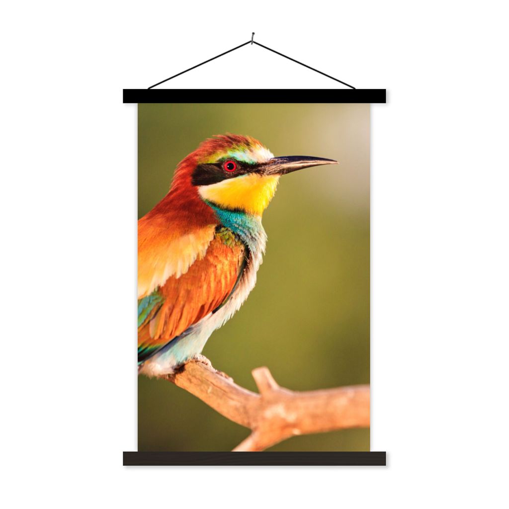 MuchoWow Textilposter Vögel - Bienenfresser - Regenbogen - Tiere 120x180 cm mit schwarzem Rahmen - Fotos