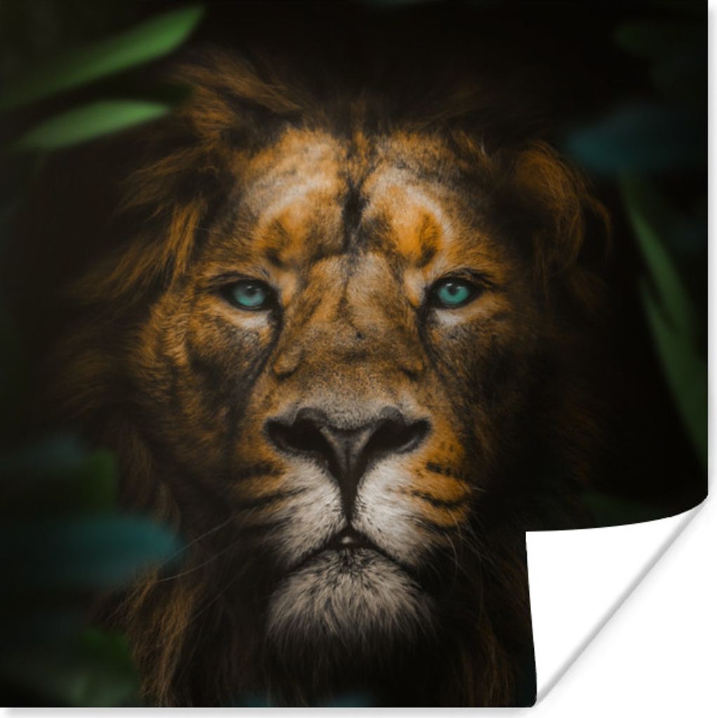 MuchoWow Poster Tiere - Löwe - Wilde Tiere 100x100 cm - Babyzimmer