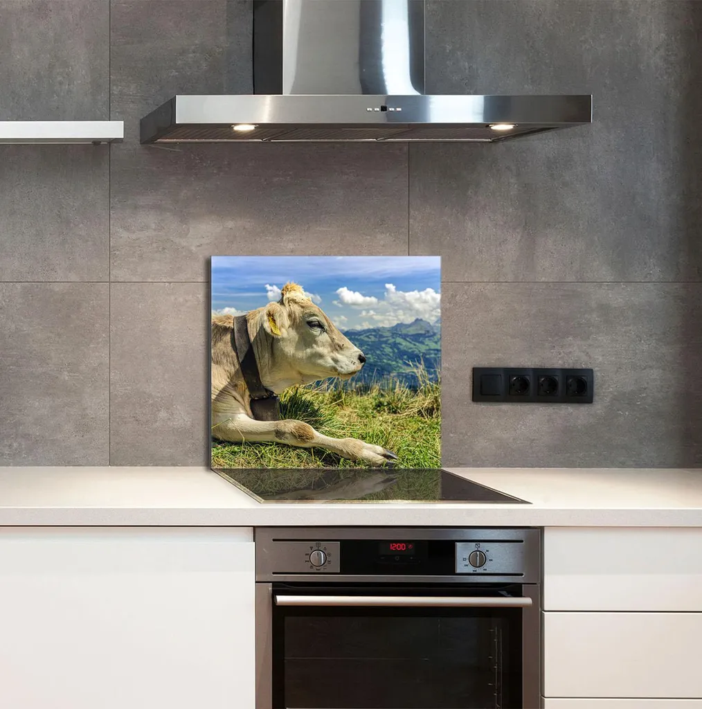 GLASPLATTE FÜR KÜCHE 65x60 Kuh - 3