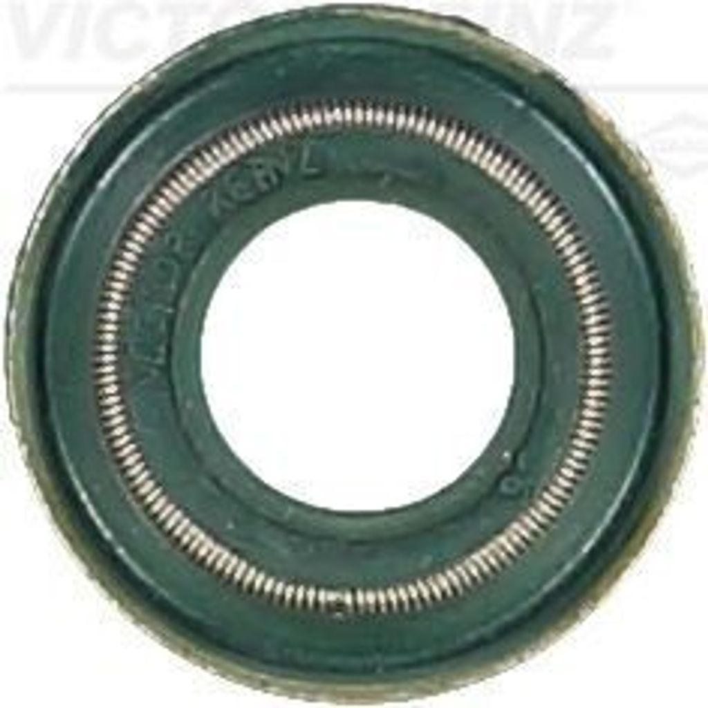 REINZ Ventilschaftdichtung 70-34914-00 passend für MERCEDES-BENZ VARIO Kasten/Kombi FPM (Fluor-Kautschuk)