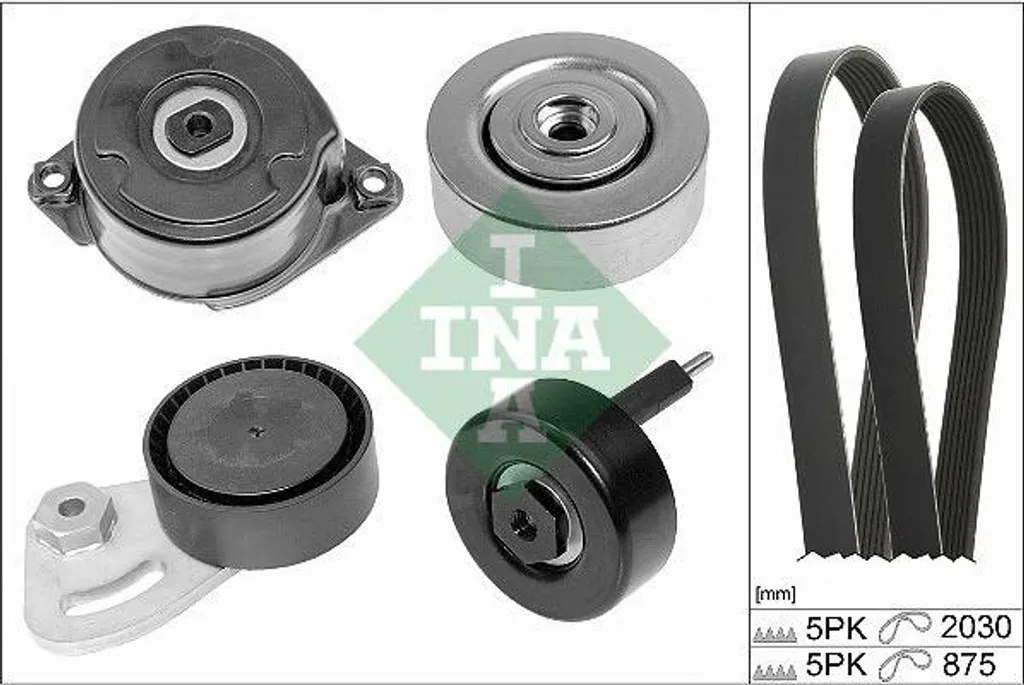 Entretien Freelander : Kit courroies trapézoïdales INA Réf PQG100340L