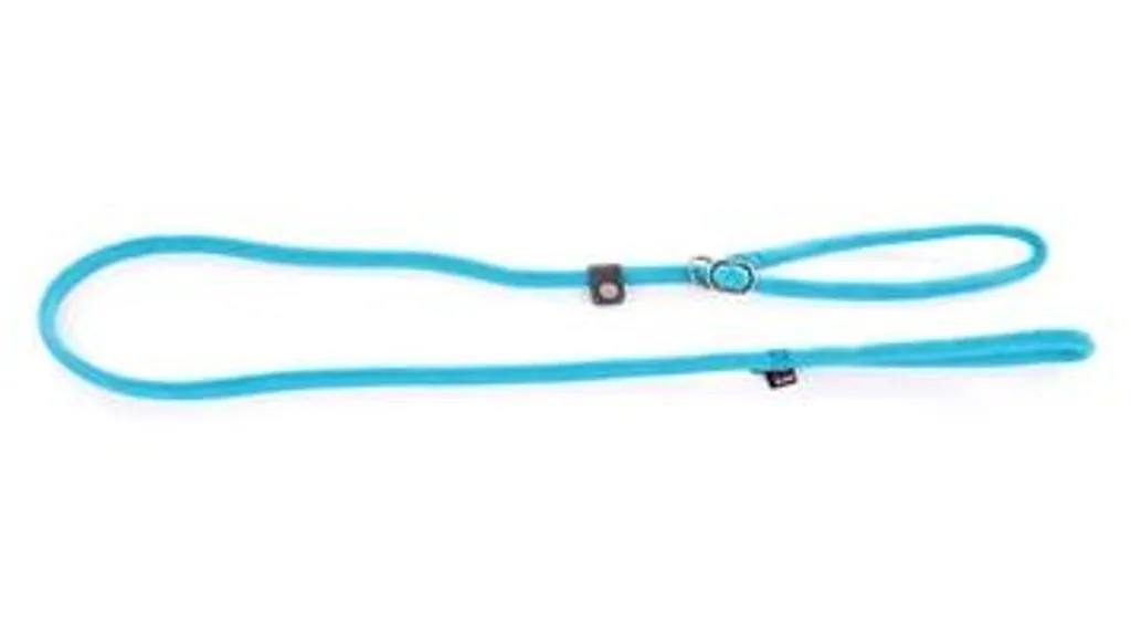 Laisse Martin Retriever Line en nylon rond turquoise de haute qualité