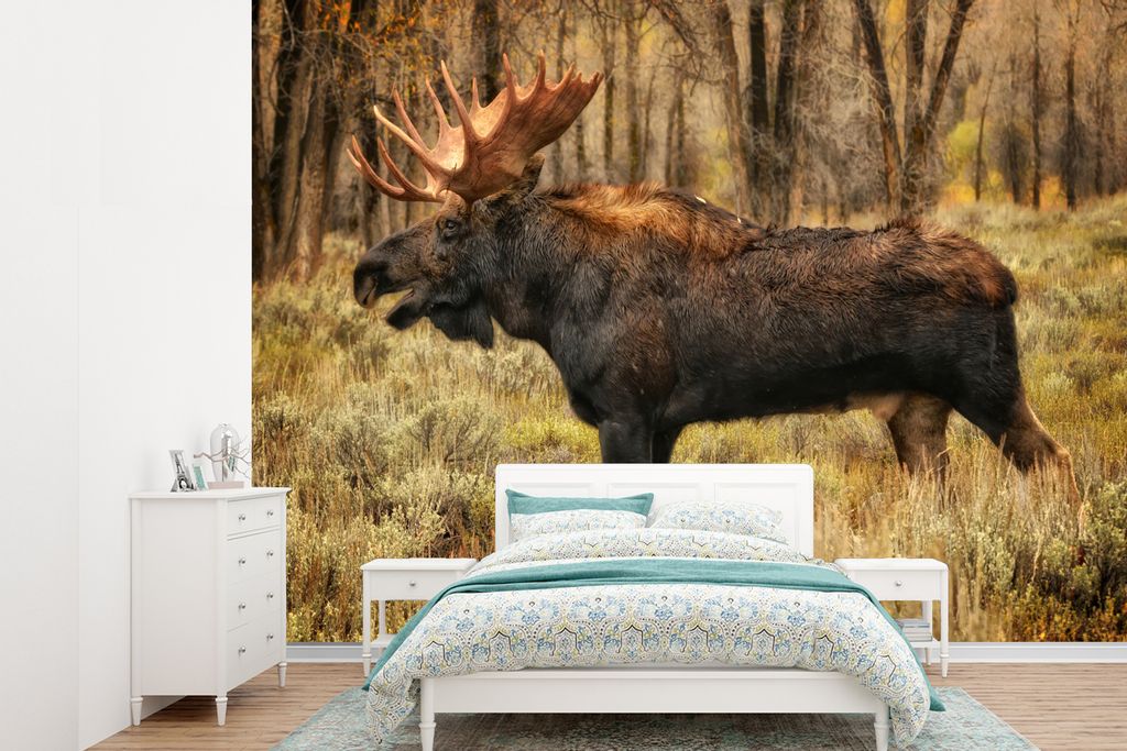 MuchoWow Fototapete für Wohnzimmer oder Schlafzimmer Wandtapete Vinyl Motivtapete Elch mit offenem Maul in einer Landschaft - 330x240 cm - Vinyl...